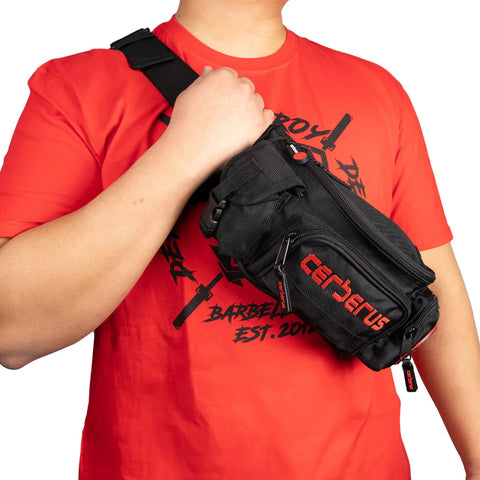 Image of Сумка-бананка Cerberus