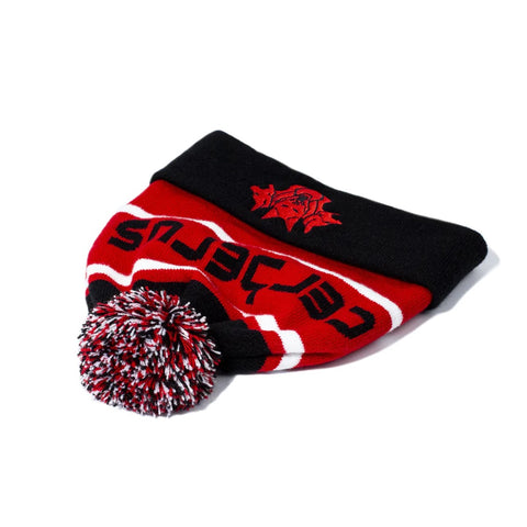 Image of Альпійська шапка Cerberus RED