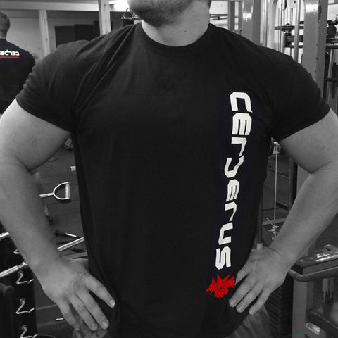 Image of Футболка Cerberus Vertical