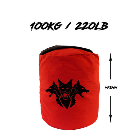 Image of Тренувальний сендбег Dual Ply