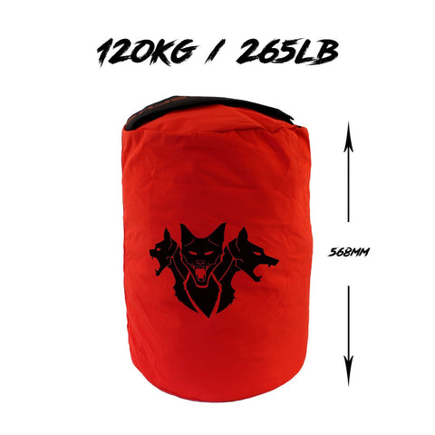 Image of Тренувальний сендбег Dual Ply