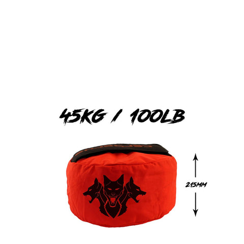 Image of Тренувальний сендбег Dual Ply