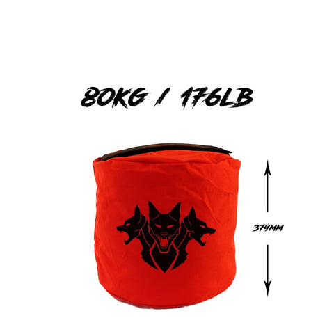 Image of Тренувальний сендбег Dual Ply