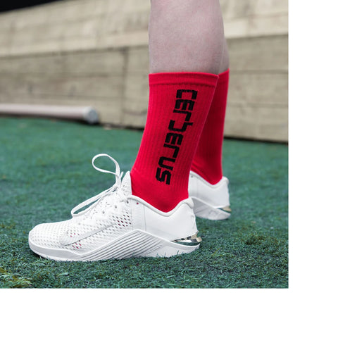 Image of Шкарпетки Cerberus